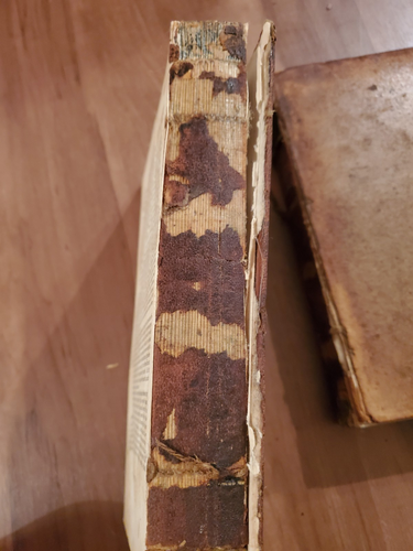 ANCIENT HISTORY by Charles Rollin 2 Volumes 1843 Egyptians, Persians, Greece - Picture 4 of 5