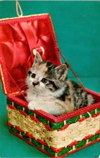 Vintage Kitten in Basket 'Kute-Kats' Linen Postcard by Tichnor Bros