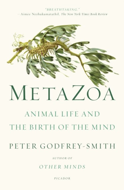 Metazoa by Peter Godfrey-Smith (Paperback Book)
