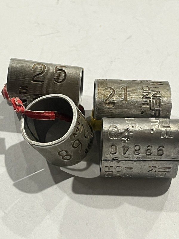JACK MINER GOOSE B. 31  31 51 56 89 91 04 21  2025 N FED.OLNY$125.ABAND $1250.US