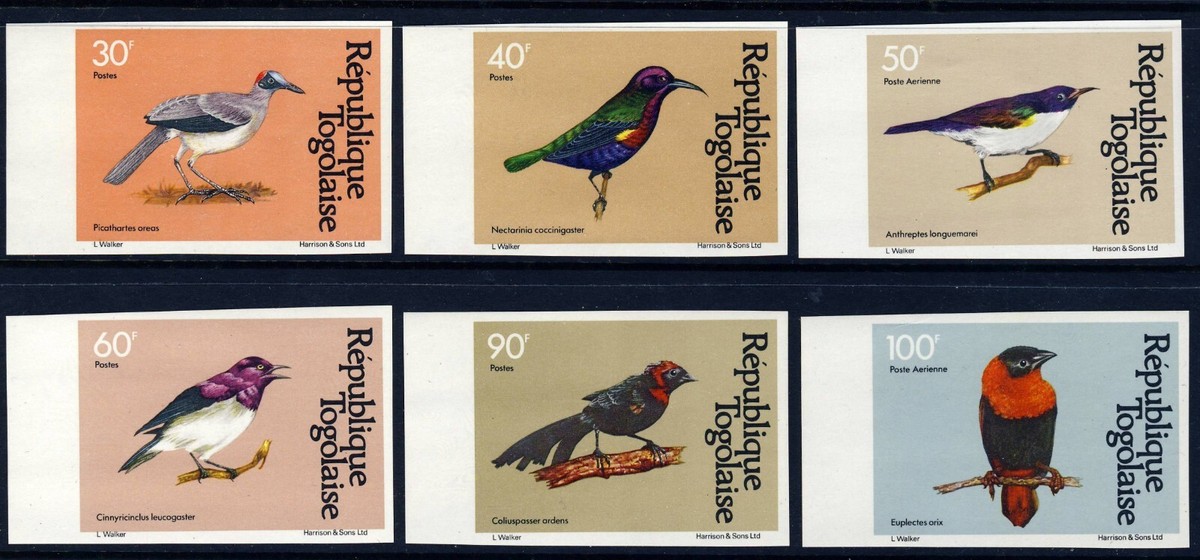 K★★101 togw Amazon.com: TAZO Organic Zen Green Tea K-Cups, Caffeine Free Tea