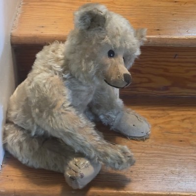1915 Antique STEIFF Teddy Bear 20'' Hump Long Arms Steiff Button Shoe Button Eyes