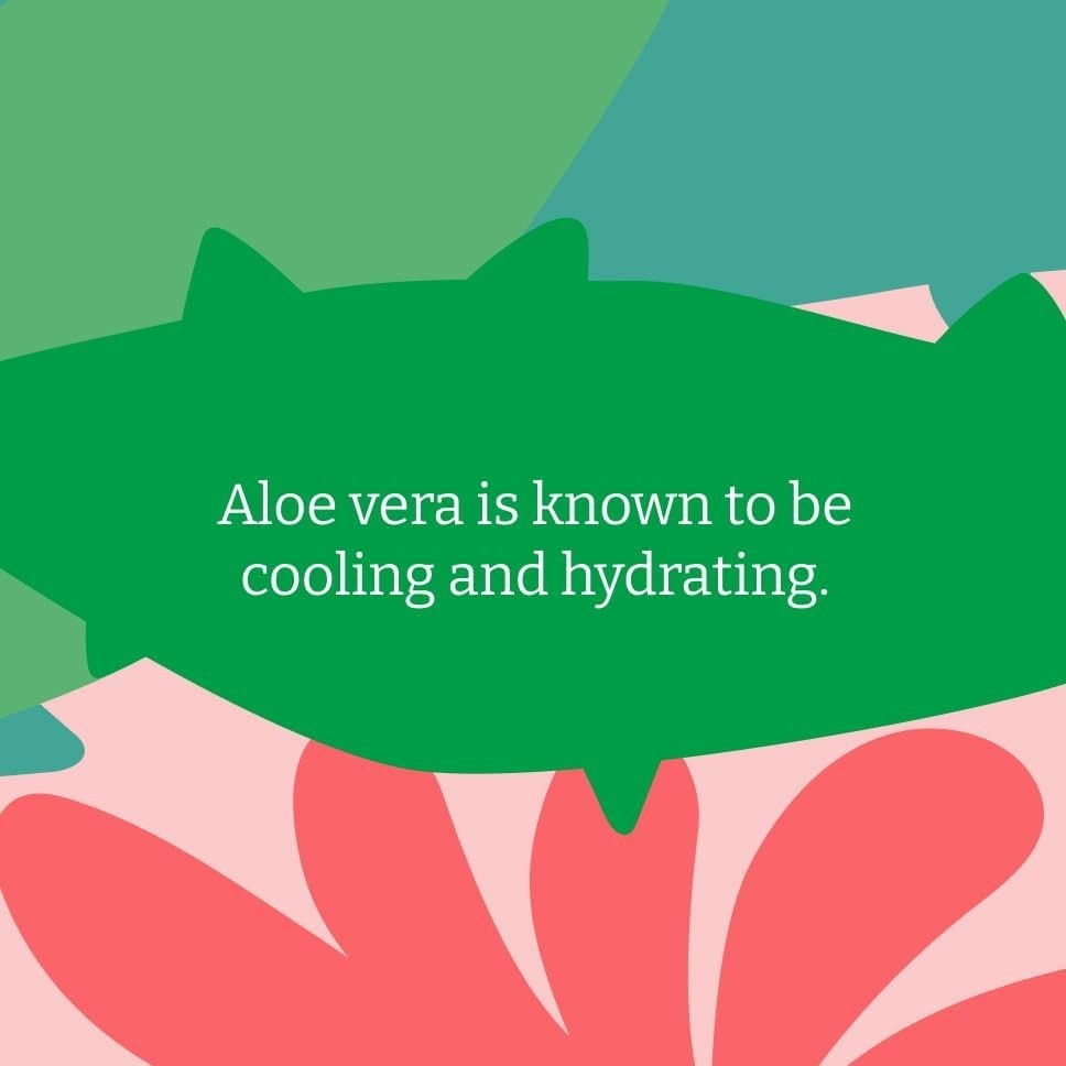 Slide 9