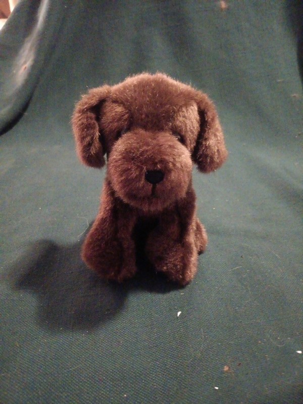 American Girl Doll Dog Puppy Chocolate Chip Brown Lab Sitting  5" Plush 2023