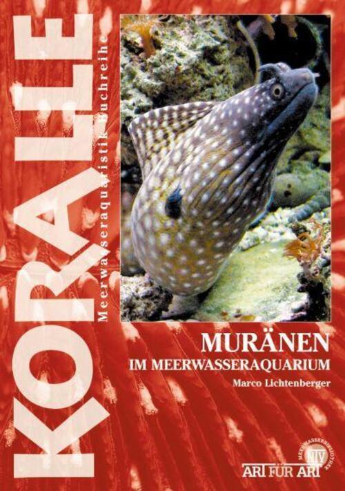 Thumbnail - Muränen Meerwasseraquarium | Marco Lichtenberger | Deutsch |