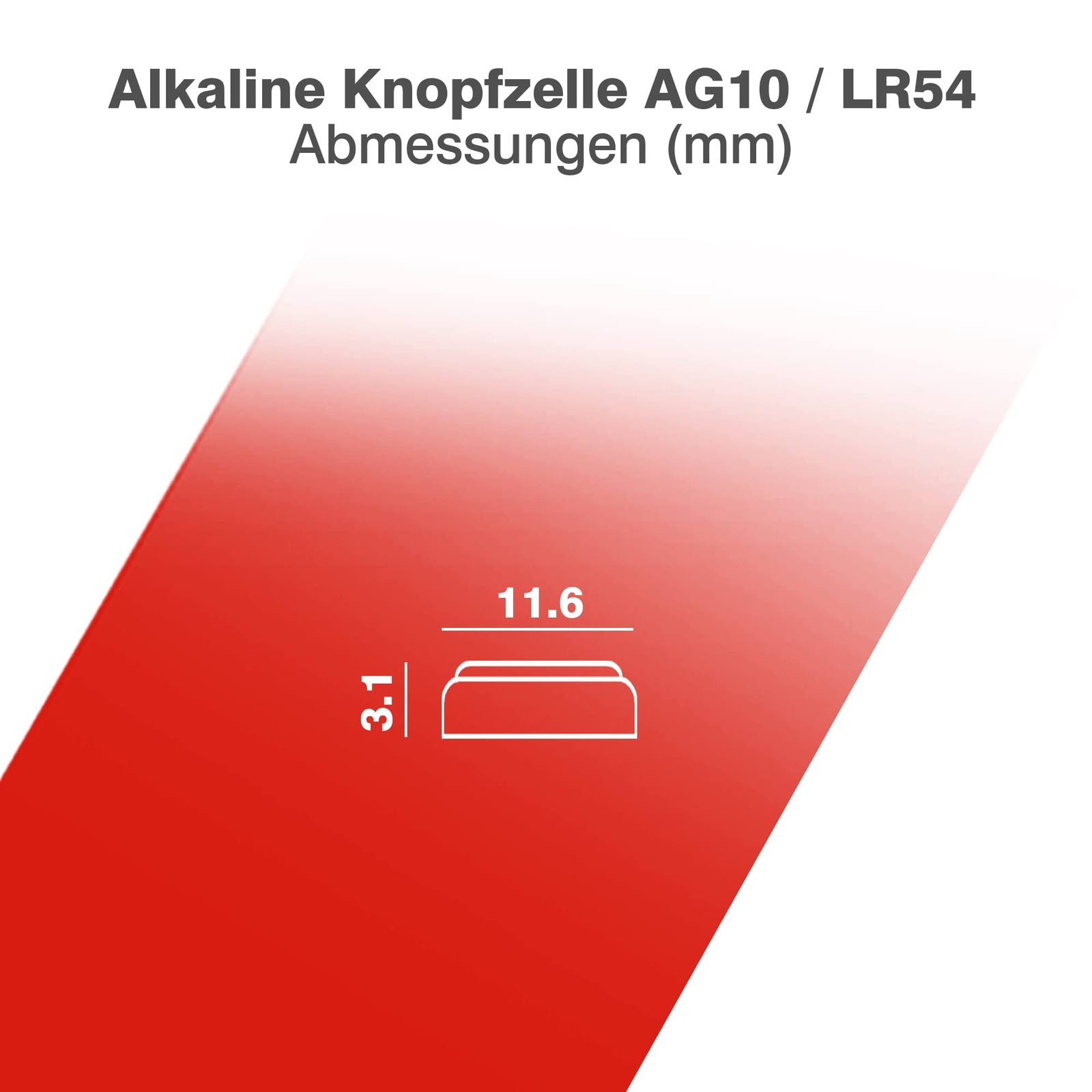 Bild 5 von 7