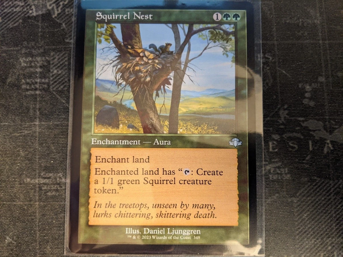Squirrel Nest Mtg
