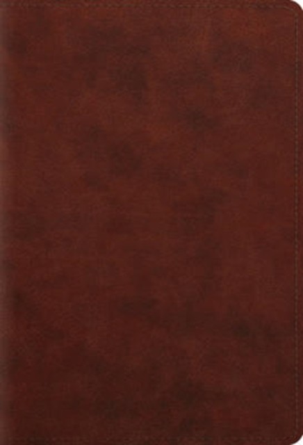 ESV Student Study Bible (Leather / fine binding)