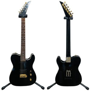 Fernandes Tej | eBay