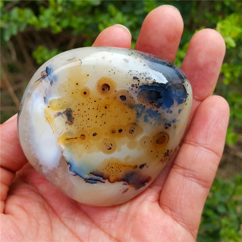 TOP 188.4 G Natural Polished “Aquatic Plant” Agate Crystal Madagascar YP128 - Picture 12 of 12