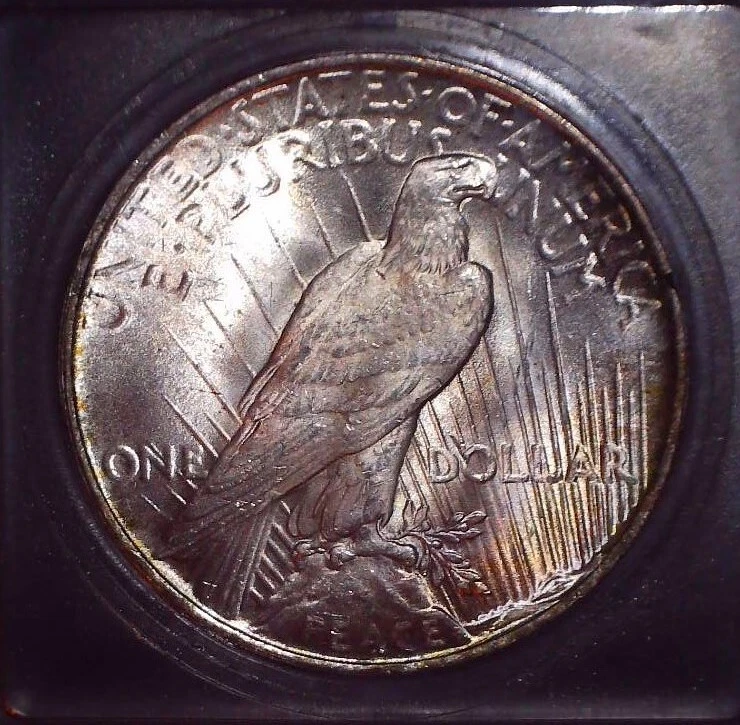 1922 Peace Silver Dollar, ICG MS 63. Original Patina, Toner, and Issue Free !! - Image 4 of 4