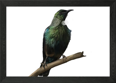 Tui Vogel auf Ast gerahmtes Wandbild Poster Leinwanddruck Bild