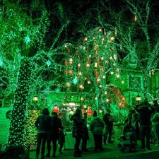 Dazzle Bright Fairy Lights Battery Operated, 20 FT 60 LED Silver Wire Outdoor