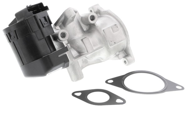 Vemo - V25-63-0010 - Agr-Ventil - FüR Ford 1436390-image