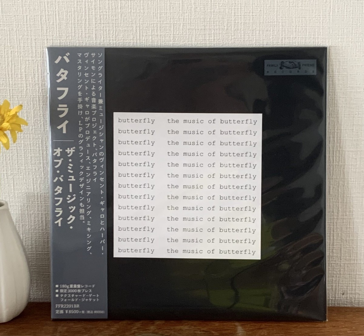 ヴィンセント・ギャロ The Music of Butterfly LP