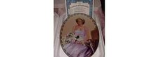 BRADFORD EXCHANGE PRINCESS DIANA COLLECTABLE PLATE # 27