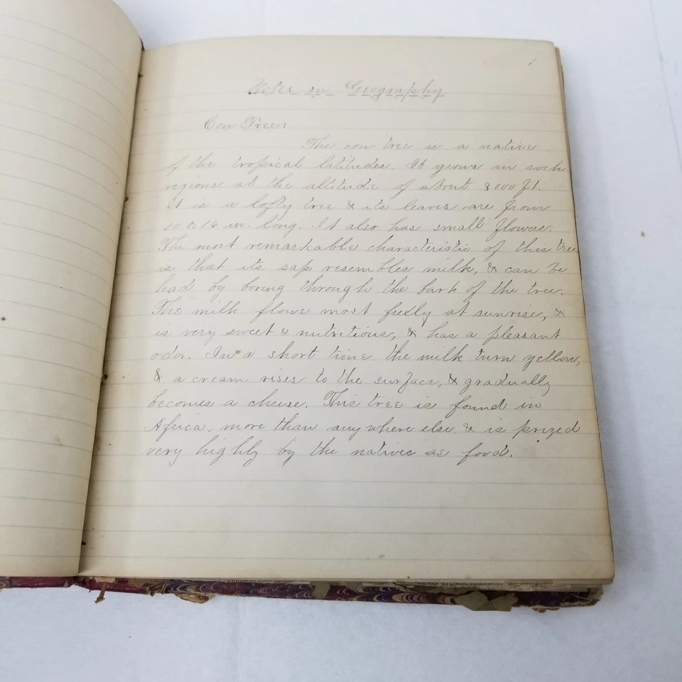 Álbum de recortes antiguo de la década de 1880 niñas hojas prensadas periódicos de Missouri Foto 4 de 4