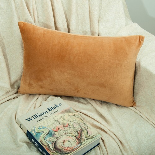 Velvet Cushion Cover 2 Pack Ultra Soft Various Colors Throw Pillow Case - Picture 16 of 64