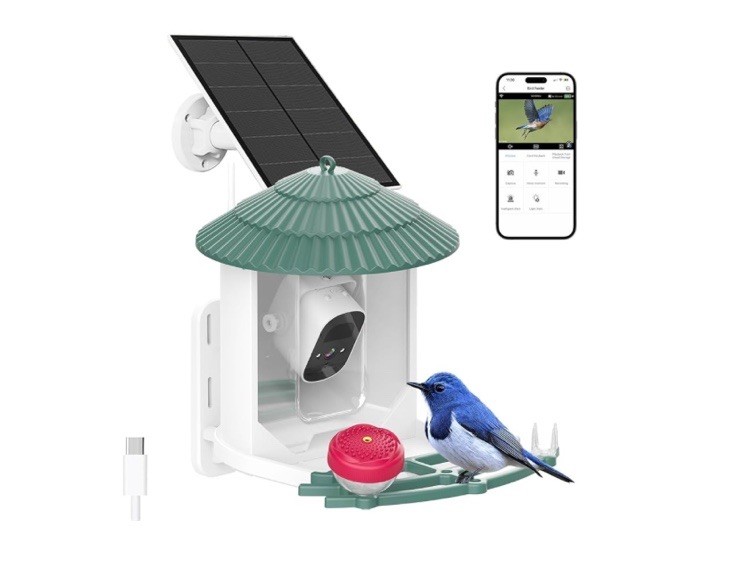 New Bird Feeder with Camera, Smart AI Identify Wild Bird Feeder Camera Solar