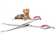 Dog Grooming Scissors Curved 7 Inch Stainless Steel with Safety Round Tips Pr...