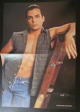 Clippings cuttings - RICHARD GRIECO - LINDA HAMILTON - Poster 10x16 inch