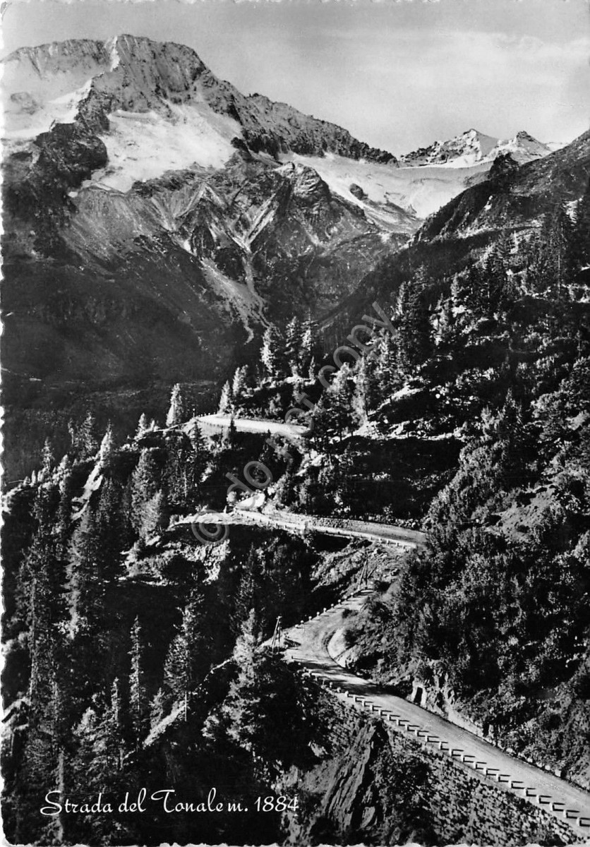 Cartolina Strada del Tonale 1950 (Brescia)