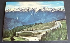 Postcard: Mt. Olympus Bailey Range Hurricane Ridge Olympic N Park ~Washington