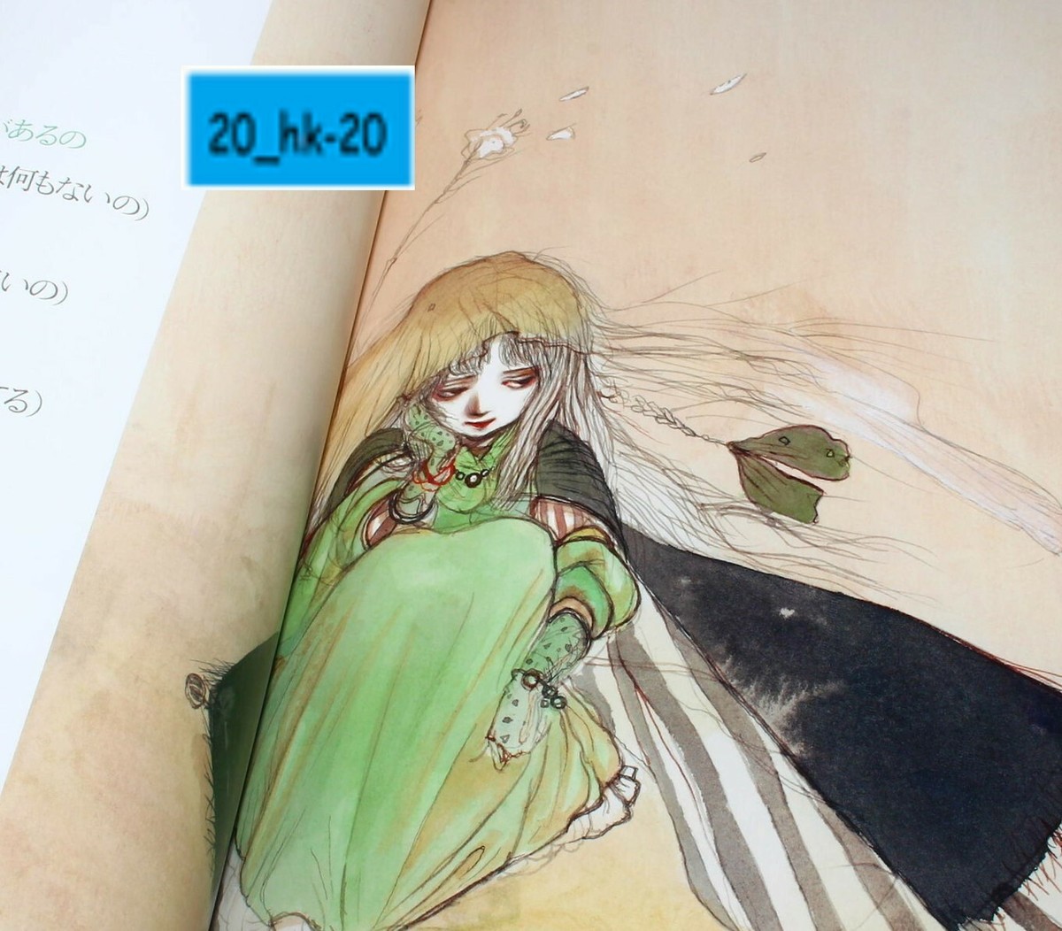 Angels Egg Tenshi No Tamago Shojoki Art Book 2017 Ver