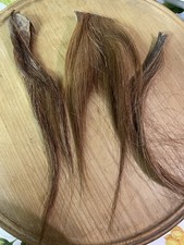 3 CHESTNUT  SECTIONS NATURAL HORSE HAIR SUITABLE TOY HORSE ARTS CRAFTS DEC 11