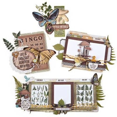 49 und Markt Natur Studie Cluster Kit