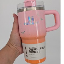 NEW STANLEY cup bottle Quencher FlowState Tumbler Spellcast Pink 20oz Halloween