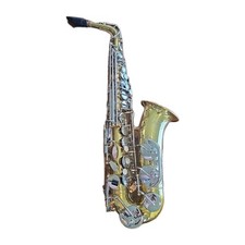 Armstrong 3908205 Alto Saxophone USA Student Includes Case  Extras