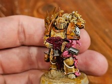 Warhammer 40k 40,000 Death Guard Dark Imperium Plague Marine OOP Painted MF376