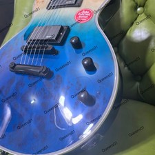 Electric Guitar Burl Top HH Pickups Mahogany Body Neck Stainless Fret Bone Nut