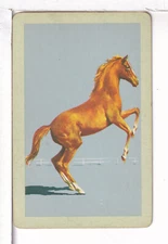 Single Vintage ID Animals, Horses, "King & Prince" Playing Card HA 7-6 A