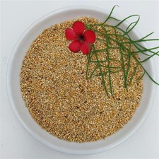 Bird-Box Wellensittich Premium Inhalt 5 kg