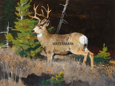 Bob Kuhn  White Tailed Deer Night Sounds Game Hunting 13x19 Print REPRODUCTION