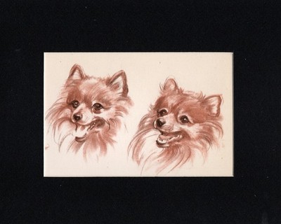 Pomeranian ''Duo'' - CUSTOM MATTED - Vintage Dog Art Print - 1944 Diana Thorne