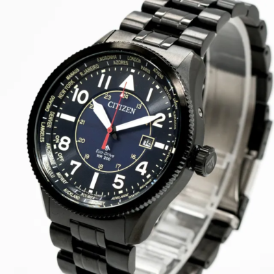 Citizen Promaster Land World Time Watch Dial Stainless Steel