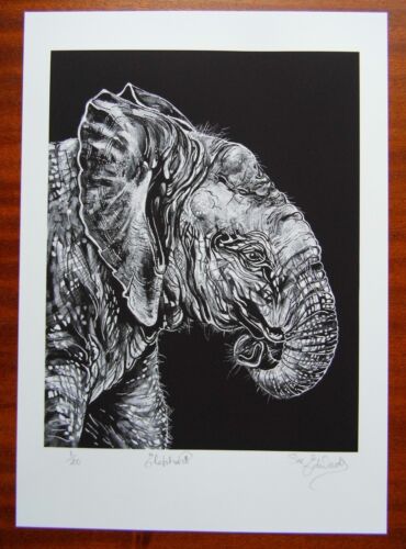 Éléphant-Bébé veau-Édition limitée imprimé d'art original - A4 - Noir & blanc  - Photo 1 sur 6