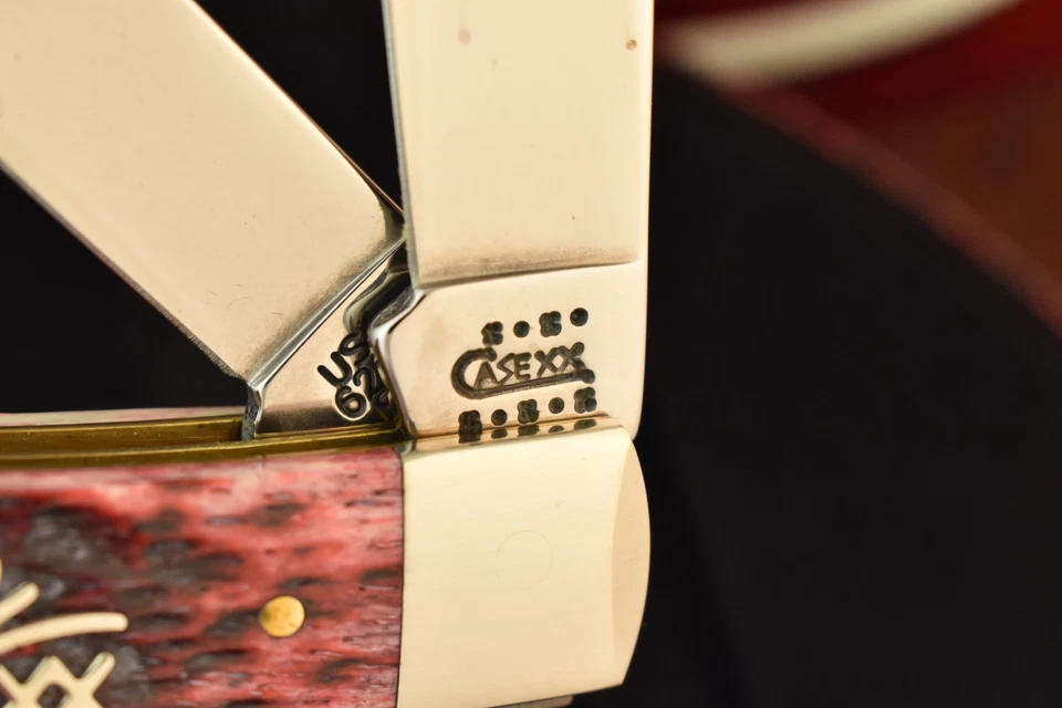 CUCHILLO TRAMPERO HUESO ARÁNDANO CASE XX EE. UU. PLATA ESCRITURA 6254 SS 2001 EN LATA 27903 Foto 4 de 4