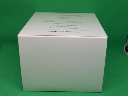 Hallmark 2006 Catching Snowflakes - Edición limitada - NISDB - Imagen 9 de 20