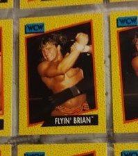 'Flyin' Brian Pillman 1991 Impel WCW Wrestling Trading Card - #59 - 