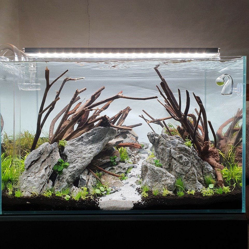 Aquarium Stone Seiryu Rock Natural Fish Tank Aquascape Decoration GREY ...