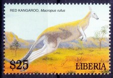 Red Kangaroo, mammal native to Australia, Wild Animals, Liberia 2001 MNH