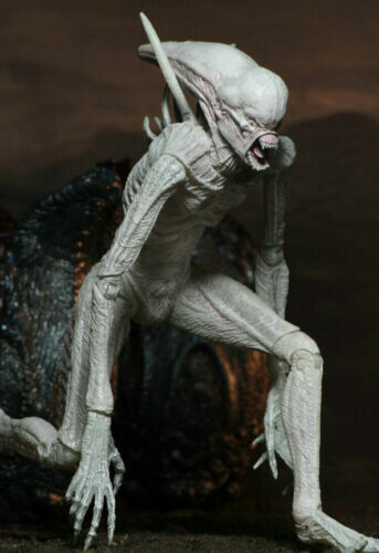 Official NECA Alien Covenant - 7
