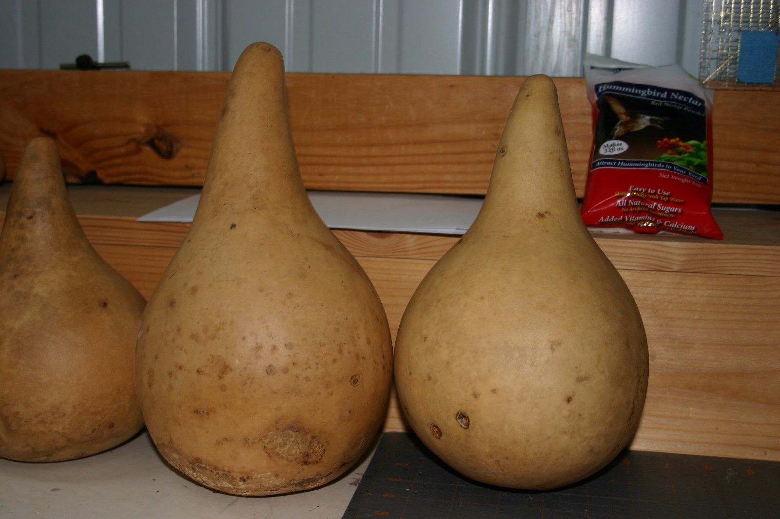 GOURDS 3 UNDER 5" QUALITY MARTIN GOURDS (DRIED AND CLEANED) Falak