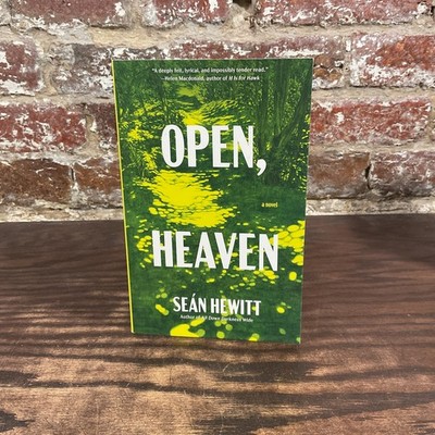 Open, Heaven By Hewitt, Sean