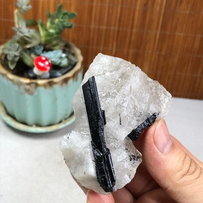105g Natural Beautiful Black tourmaline Quartz specimen Crystal Healing A6299