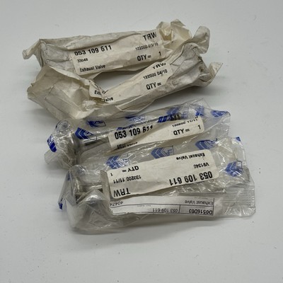 (4) NOS Volkswagen VW AUDI Caddy Jetta Corrado Exhaust Valve Set TRW 053109611